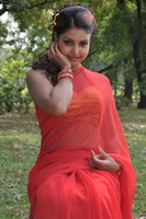 Mona Saree Photos